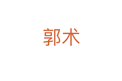 郭術(shù)