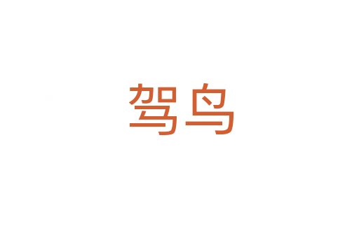 駕鳥(niǎo)