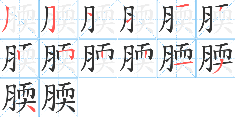 腝的筆順分步演示