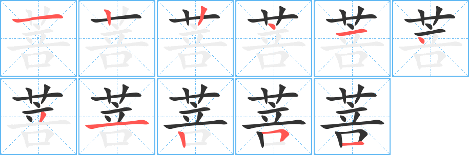 菩的筆順分步演示