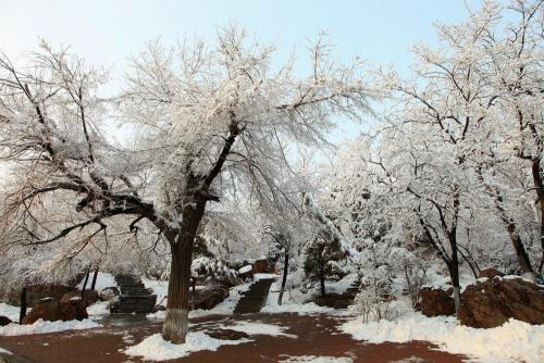 春雪原文以及翻譯賞析