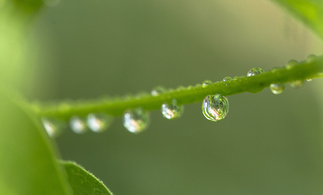 二年級陣雨小作文